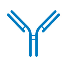 Antibody Development & Production